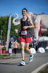 BIB: 
                            <button type="button" onclick="openModal(26542005)" class="btn btn-primary btn-sm float-right btn-popup" data-toggle="modal" data-target=".modal-high-quality">
                        <i class="fas fa-shopping-cart"></i> Add to Cart
                    </button>
                                            <button type="button" onclick="isThisMe(26542005, true)" class="btn btn-success btn-sm float-right btn-popup btn-isme hidden" data-toggle="tooltip" data-placement="bottom" title="นี่คือรูปของคุณใช่ไหม คลิกที่นี่เพื่อเอาเข้าอัลบั้ม">
                        <i class="fas fa-plus"></i> Add to album
                    </button>
                    <button type="button" onclick="isThisMe(26542005, false)" class="btn btn-warning btn-sm float-right btn-popup btn-isnotme hidden">
                        <i class="fas fa-ban"></i> Remove from album
                    </button>